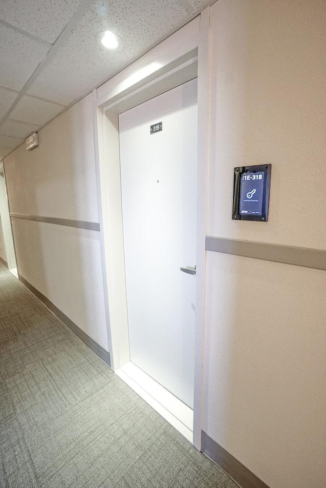 The Armadillo Hotel photo 6