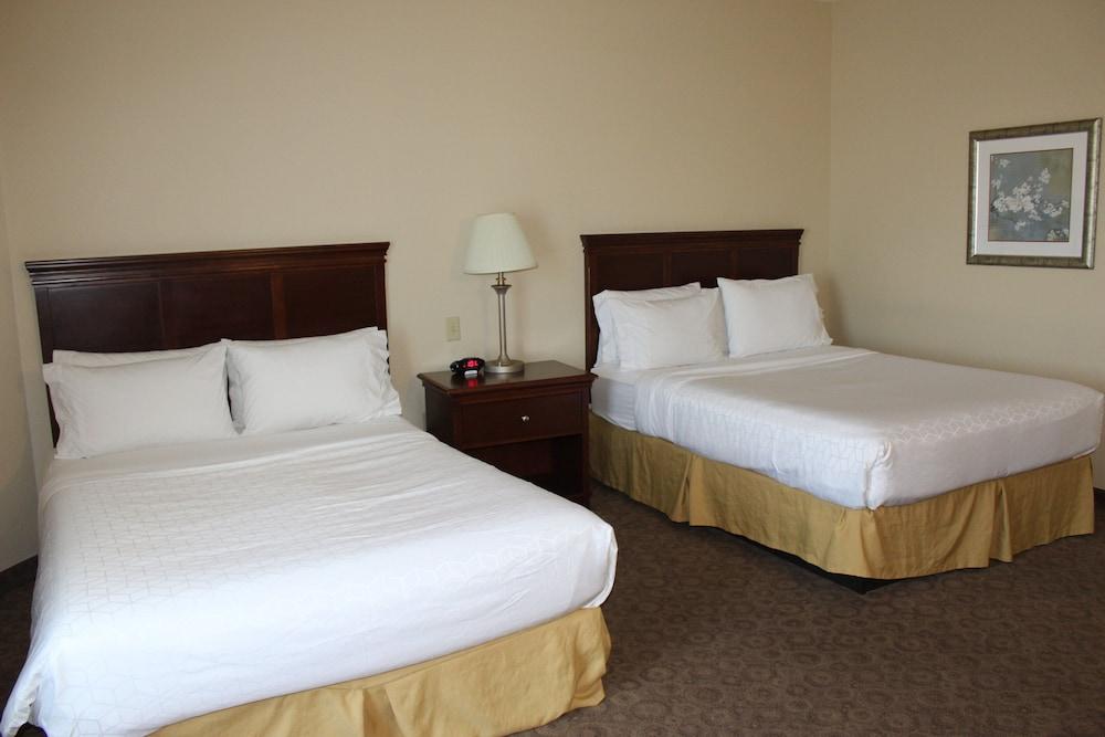 Holiday Inn Express & Suites Dallas Southwest-Cedar Hill by IHG photo 13