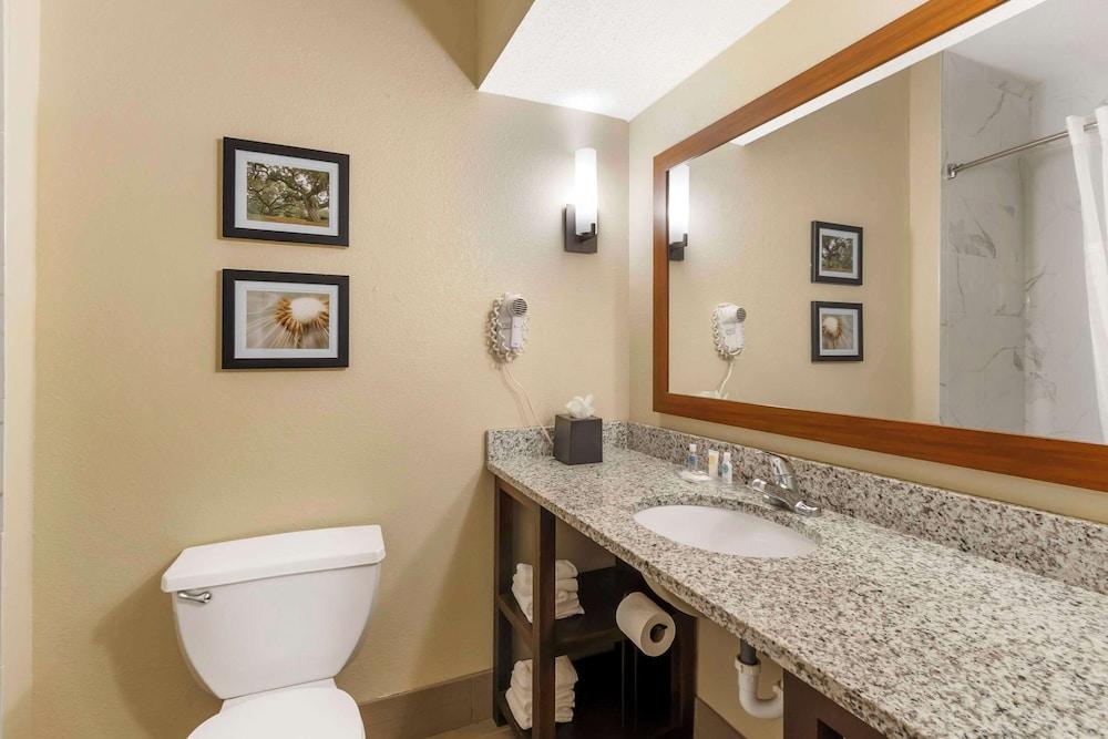 Comfort Suites photo 4