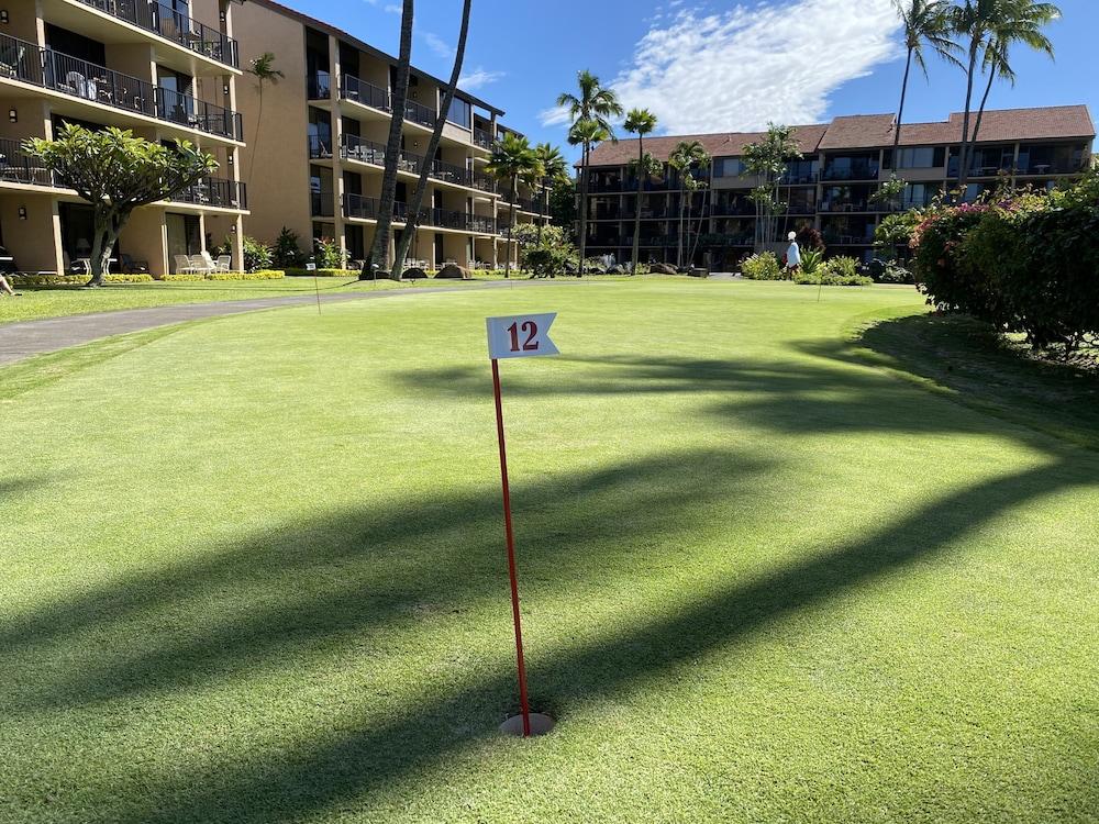 AEI at Papakea Resort Maui photo 27