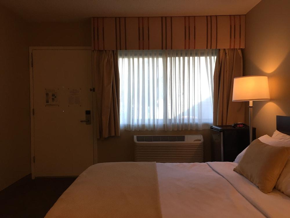 Travelodge by Wyndham Presidio San Francisco photo 13