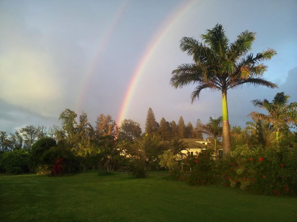 Hawaii Island Retreat photo 79