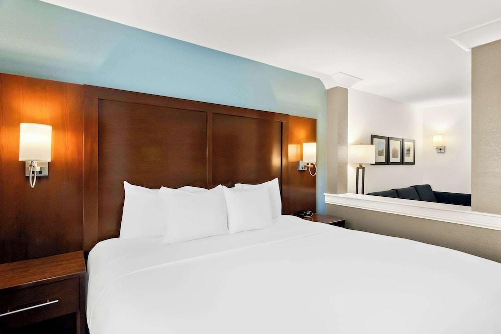 Comfort Suites Rensselaer near Fair Oaks photo 15