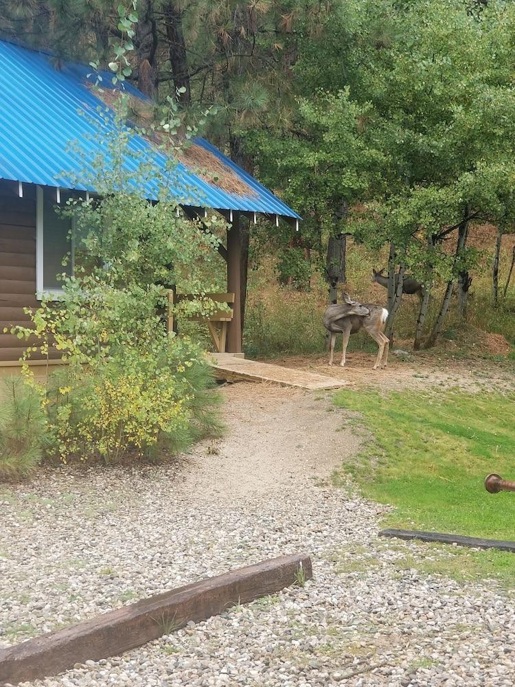 Sourdough Lodge photo 23