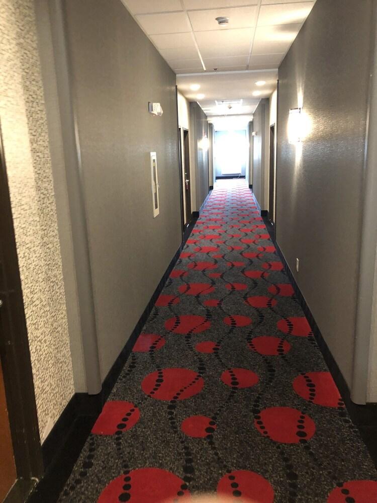 Comfort Inn & Suites Gatesville photo 89