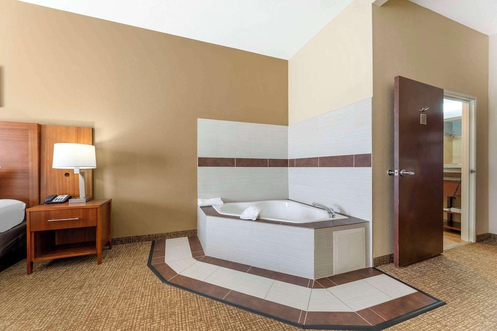 Comfort Inn & Suites Porter near Indiana Dunes photo 10