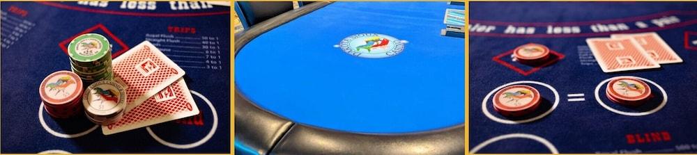 Dakota Sioux Casino & Hotel photo 10