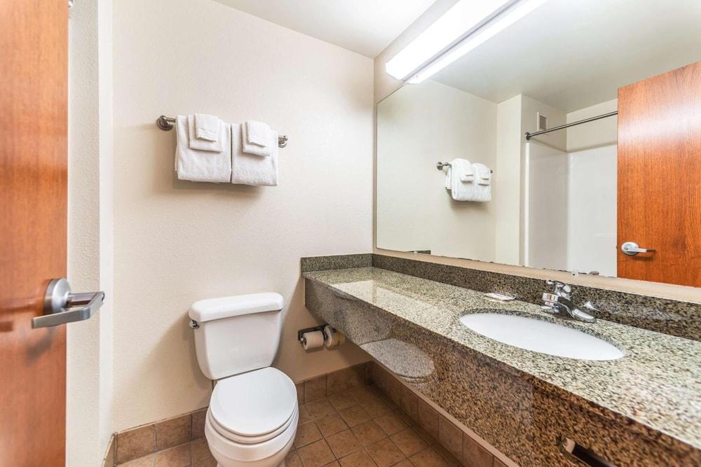 Welcome Suites photo 18