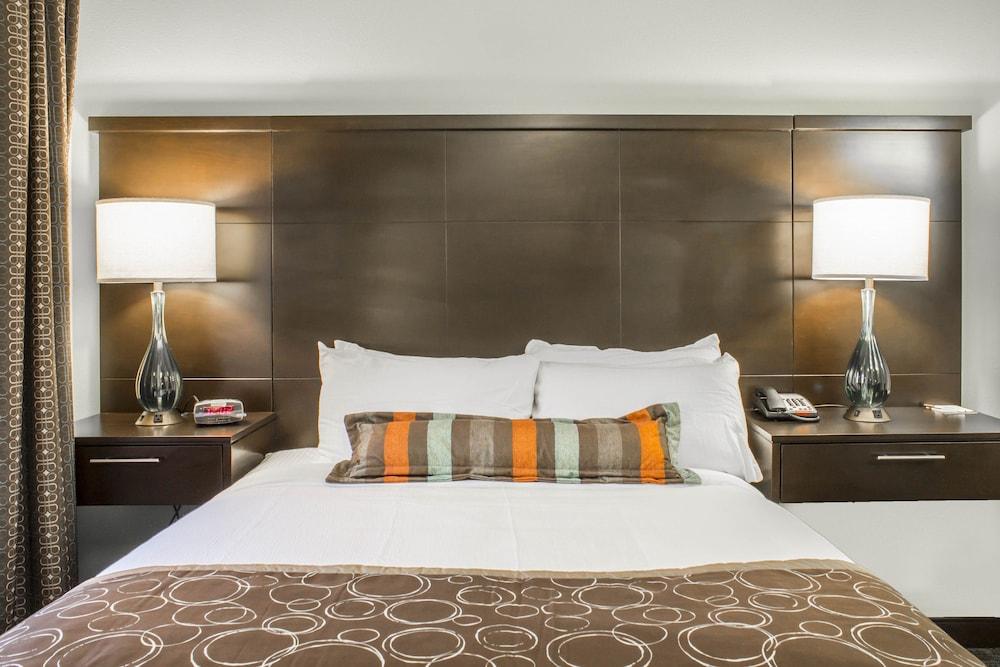 Staybridge Suites Jacksonville - Camp Lejeune Area by IHG photo 5