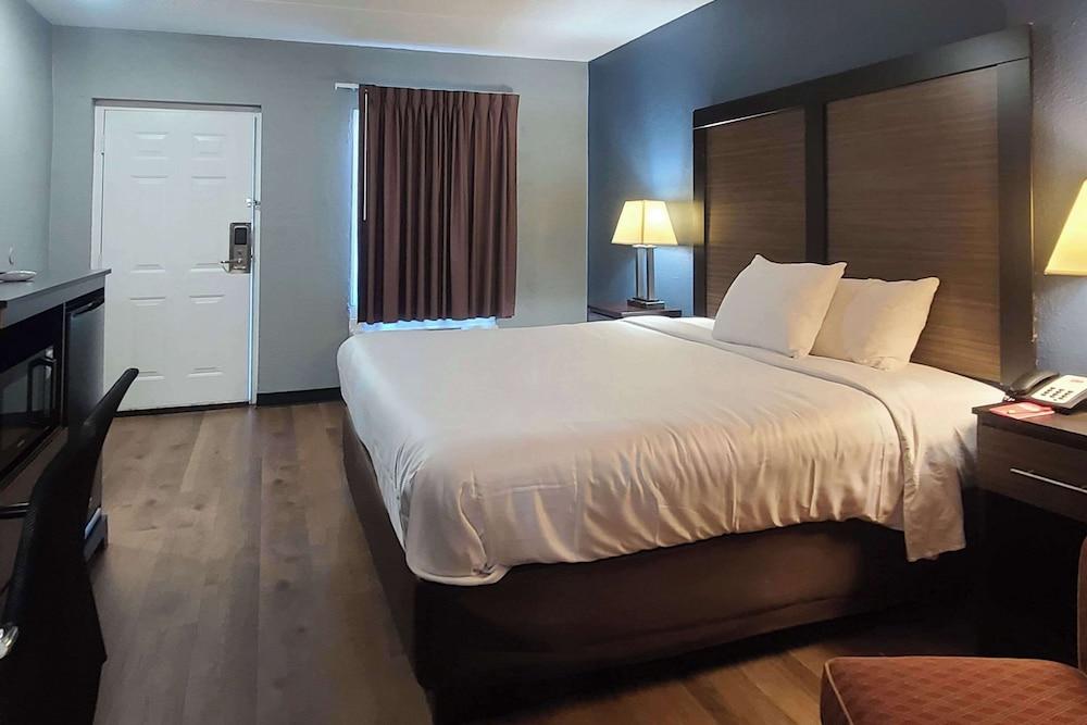 Econo Lodge Forest City photo 13