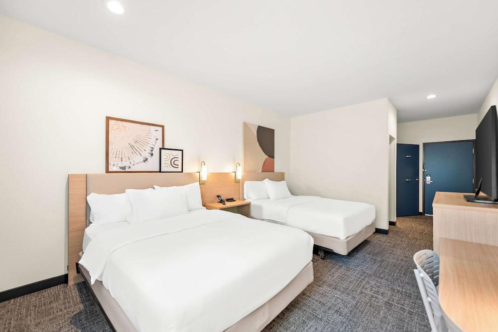Spark by Hilton Mansfield photo 10