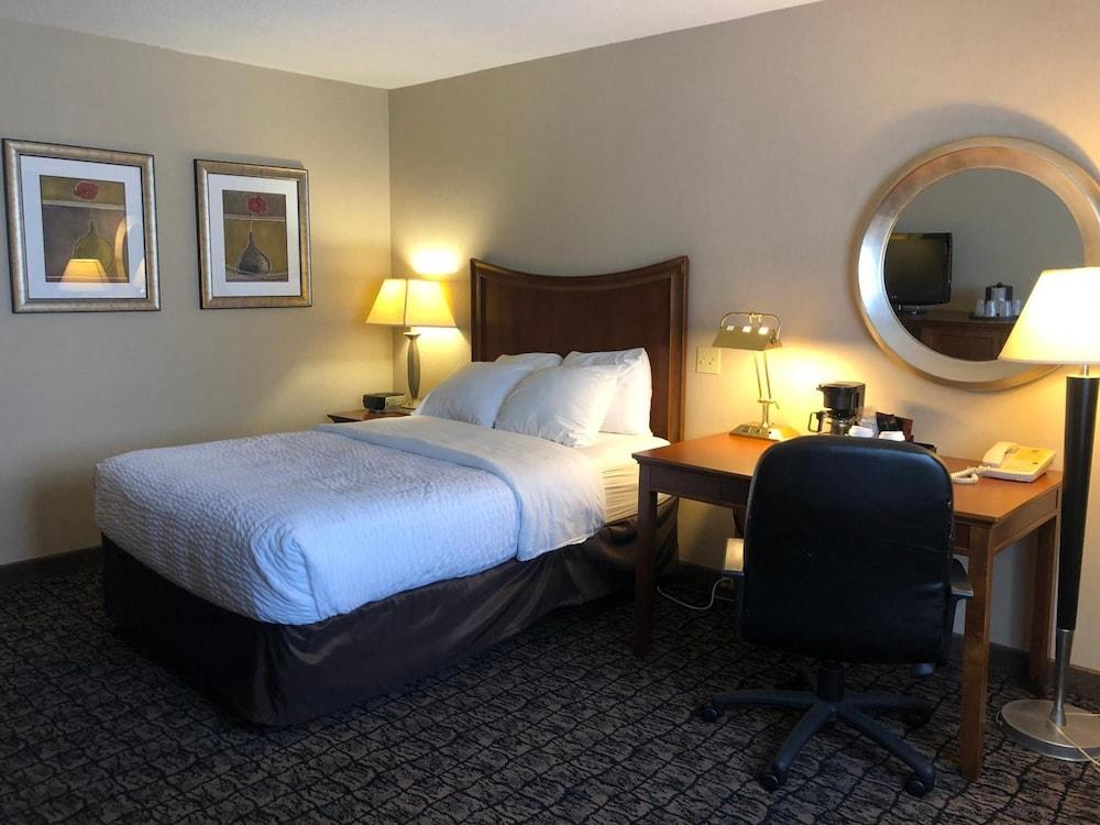 Cayuga Blu Hotel photo 3