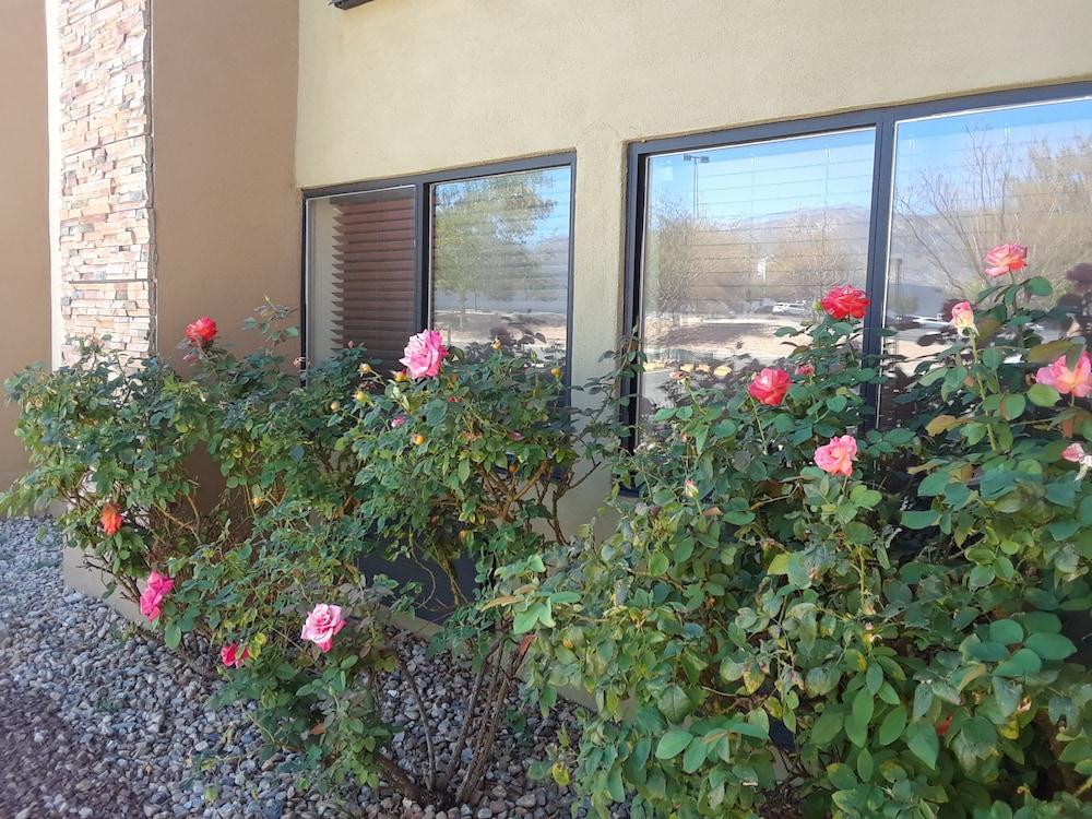 Amerstone Inn & Event Center photo 15