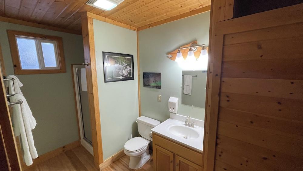 Talkeetna Denali View Lodge and Cabins photo 24