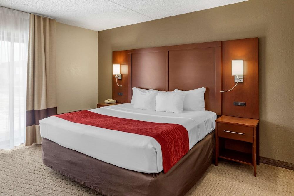 Comfort Inn & Suites Rochelle - DeKalb photo 51