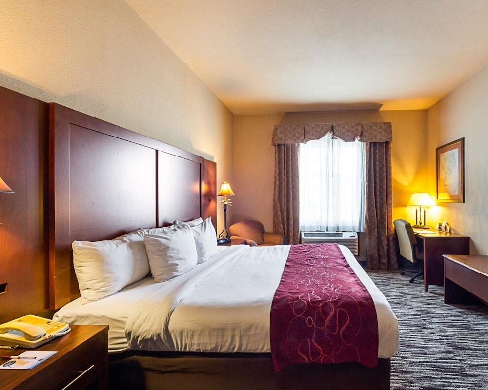 Comfort Suites McAllen photo 8