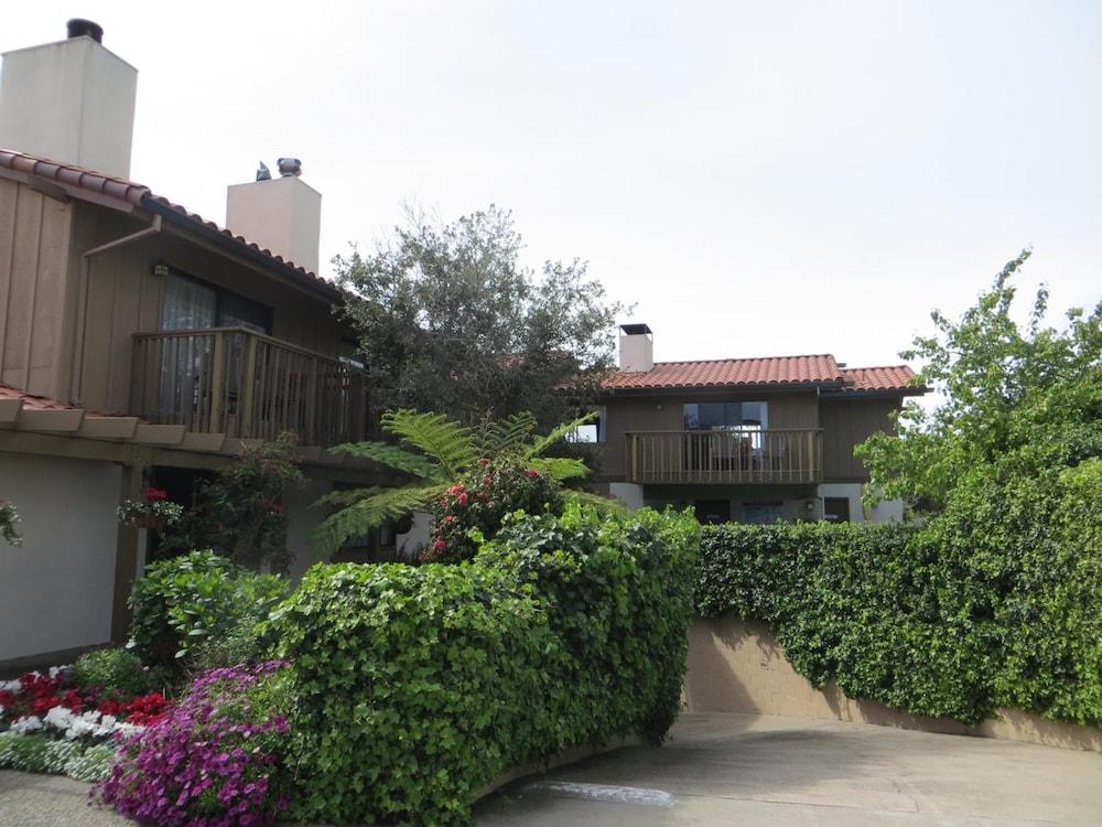 Adobe Inn photo 27