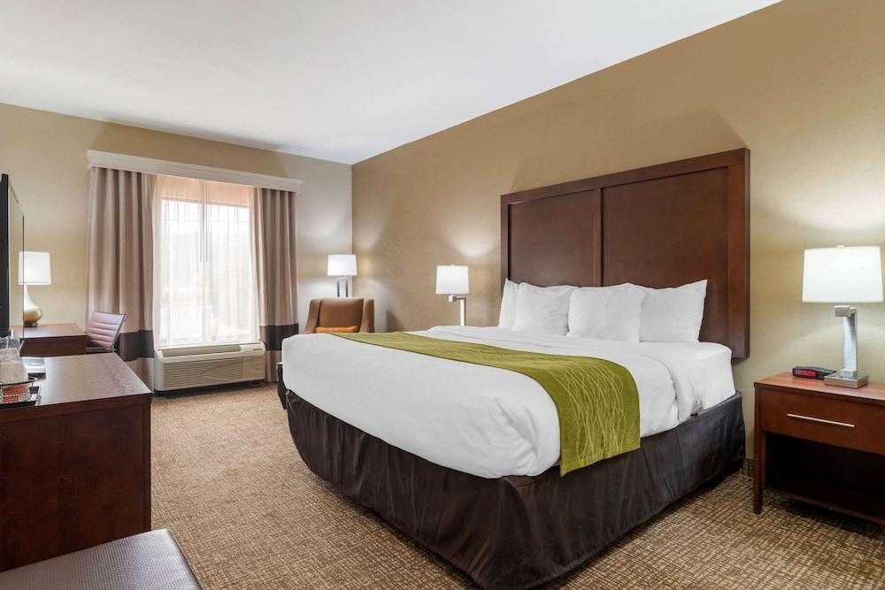 Comfort Inn & Suites Griffin North photo 6