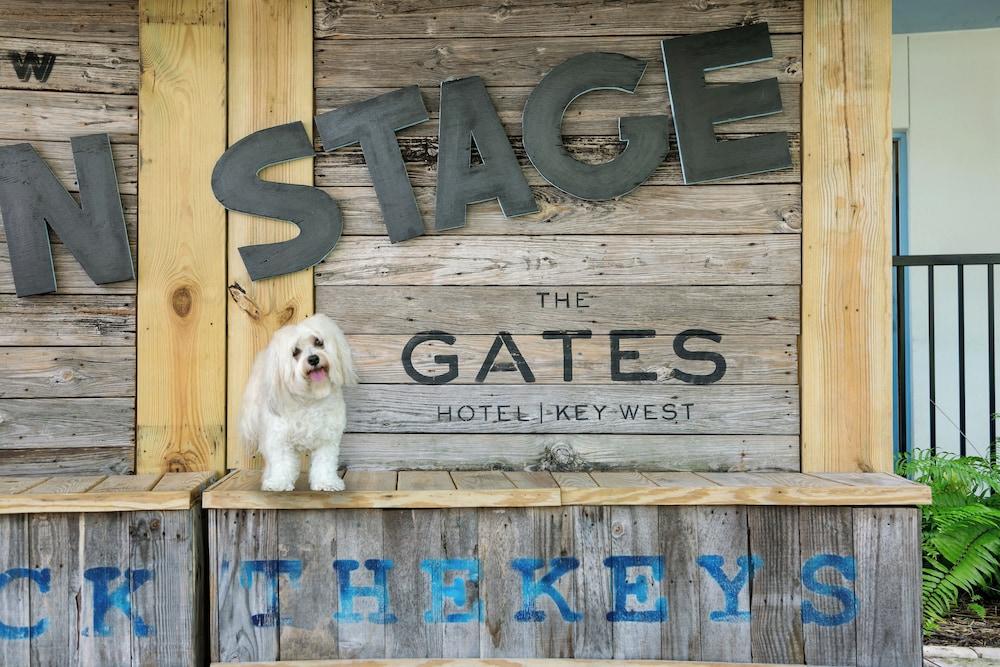 The Gates Hotel Key West Newly Renovated photo 22