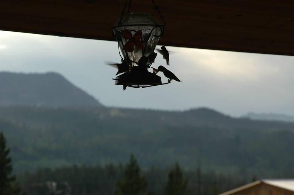 Lava Mountain Lodge photo 56