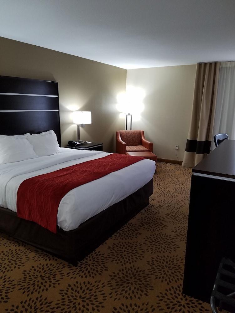 Comfort Inn North of Asheville photo 14