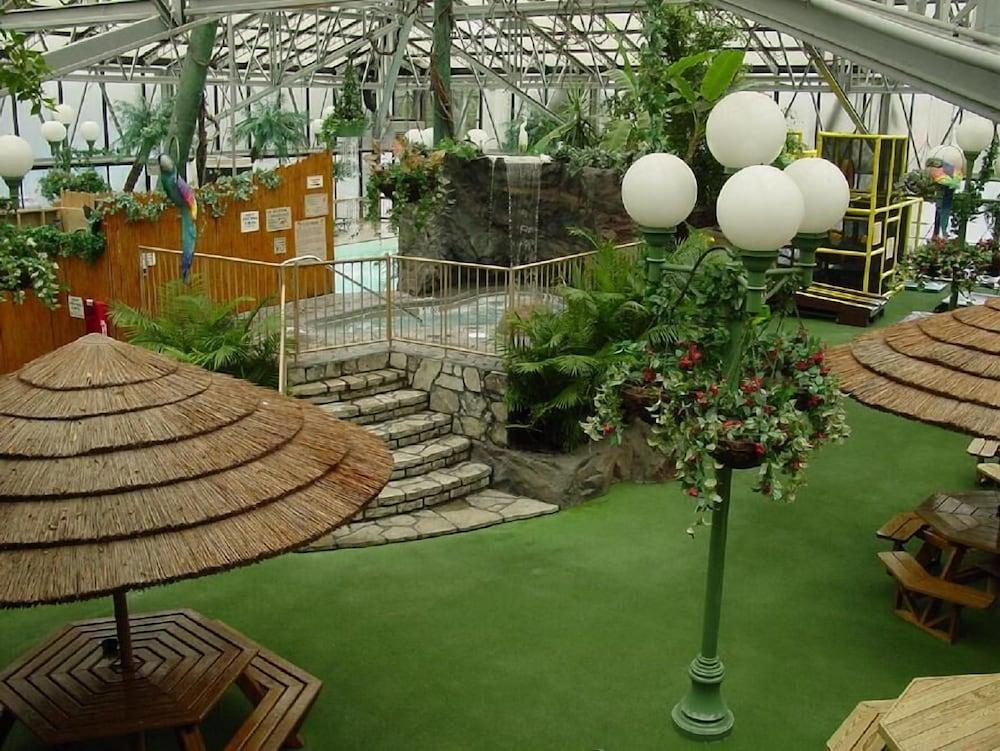 Wildwood Inn Tropical Dome & Theme Suites photo 55