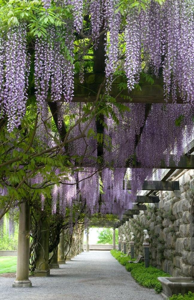 The Inn on Biltmore Estate photo 30