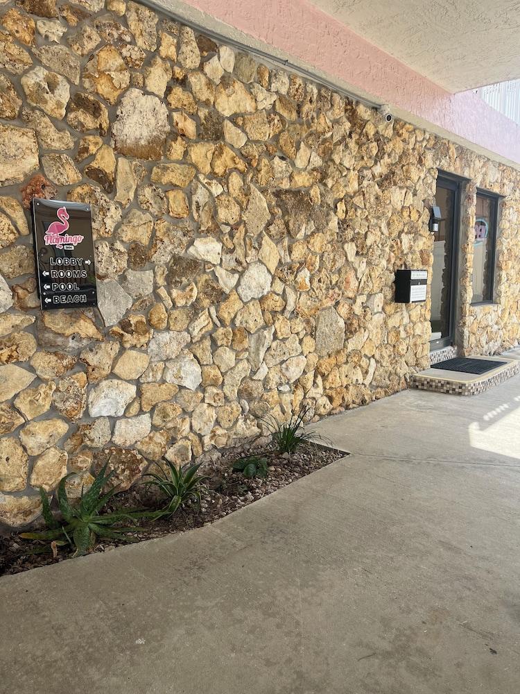 Flamingo Inn Beachfront photo 65
