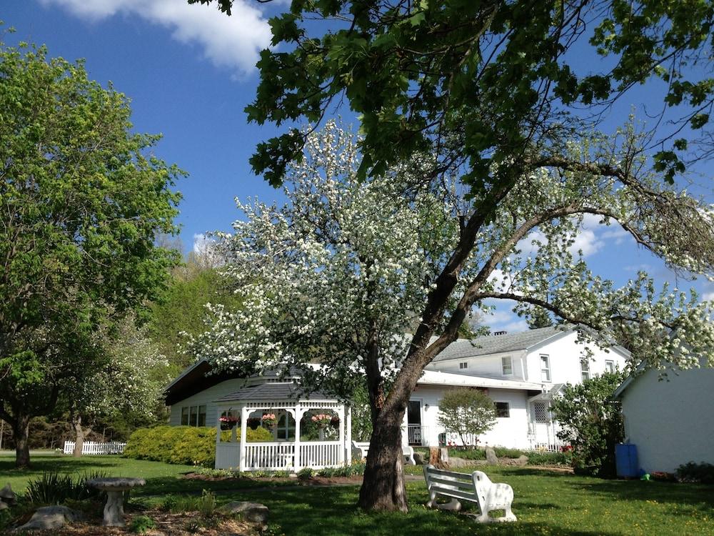 Lukans Farm Resort photo 56