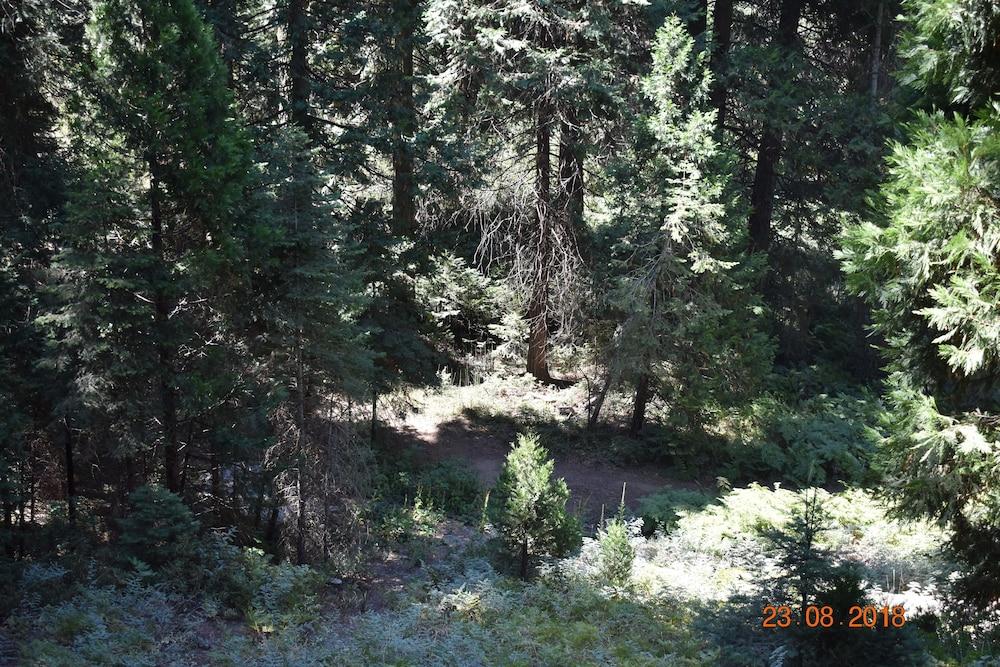 White Chief Mountain Lodge photo 39