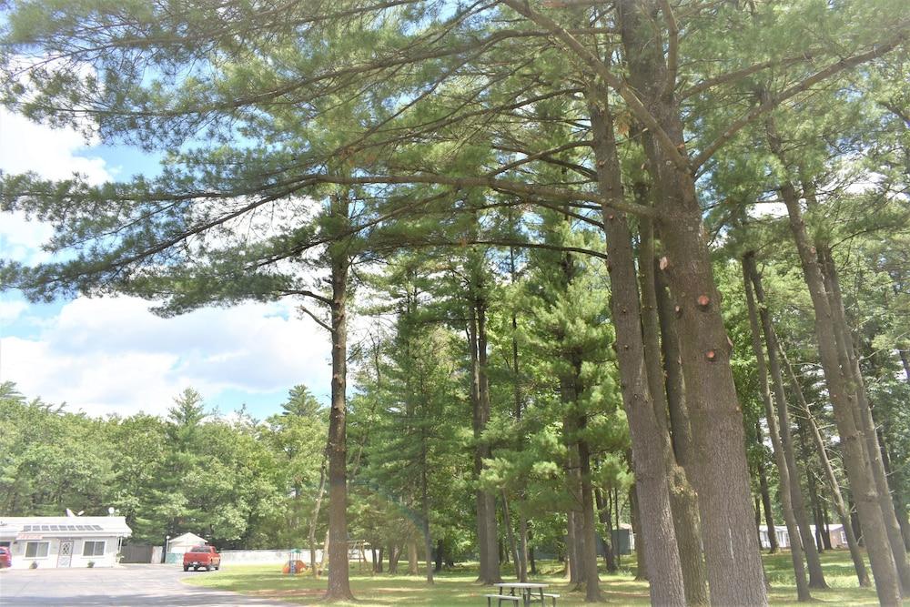 Lake Aire Motel photo 8