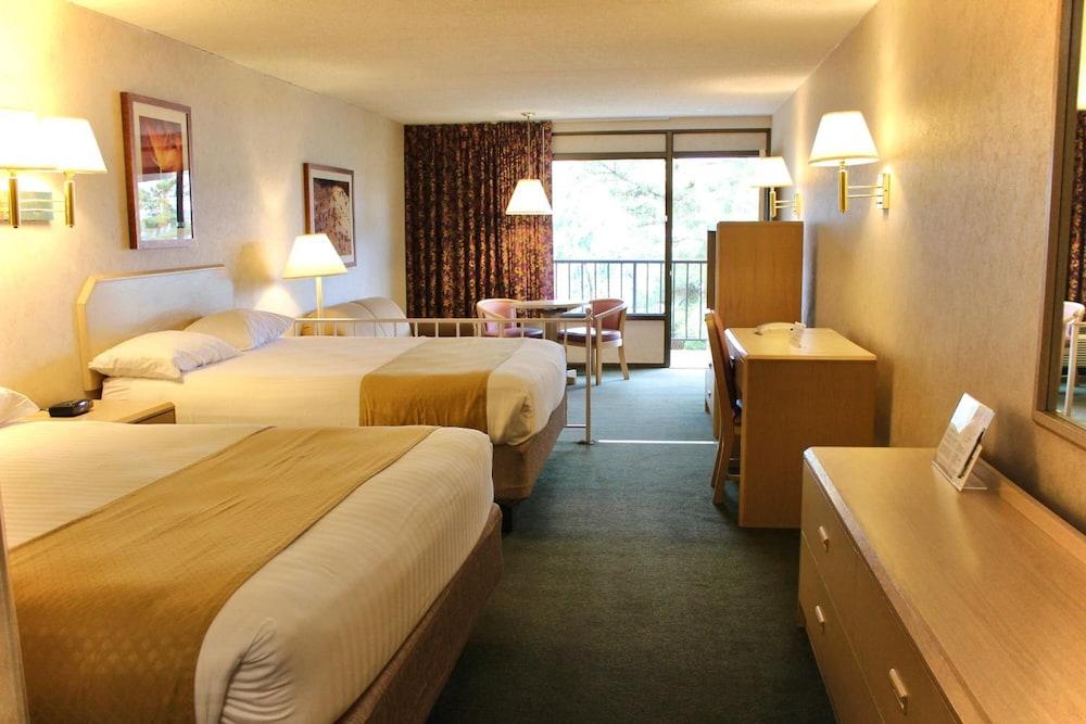 Impala Island Inn photo 14