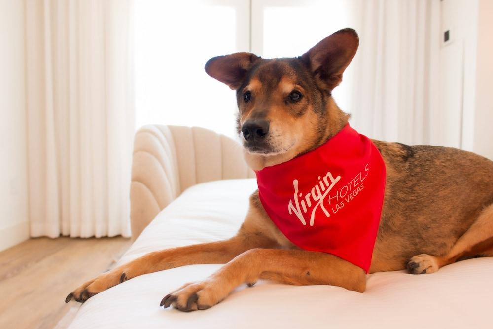 Virgin Hotel Las Vegas, Curio Collection by Hilton photo 15