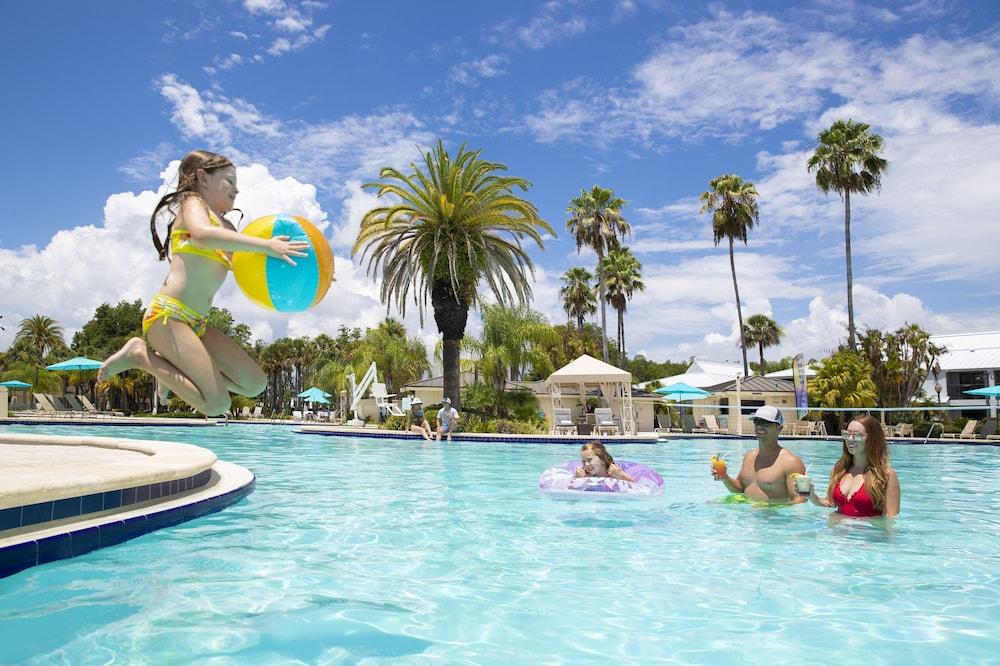 Saddlebrook Resort photo 82