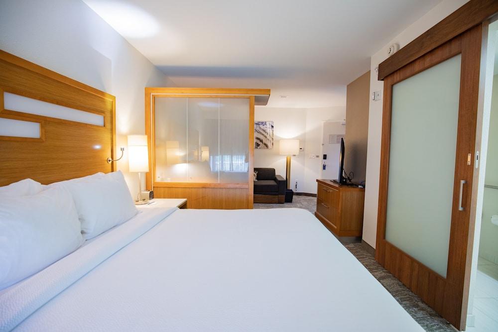 SpringHill Suites by Marriott Baton Rouge Gonzales photo 10