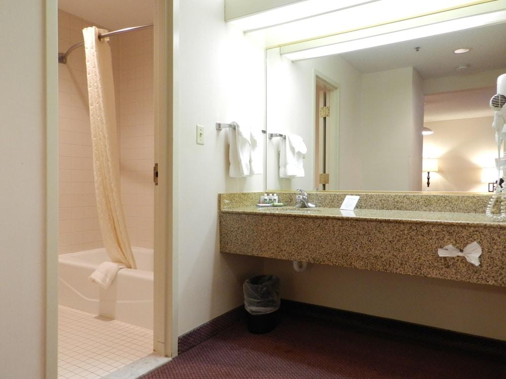 Ashmore Inn and Suites photo 29