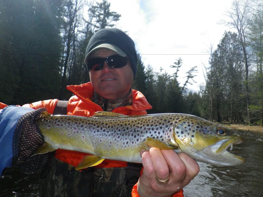 Red Moose Lodge photo 53