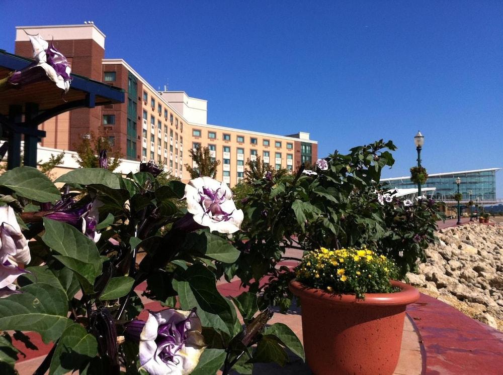 Grand Harbor Resort and Waterpark photo 35