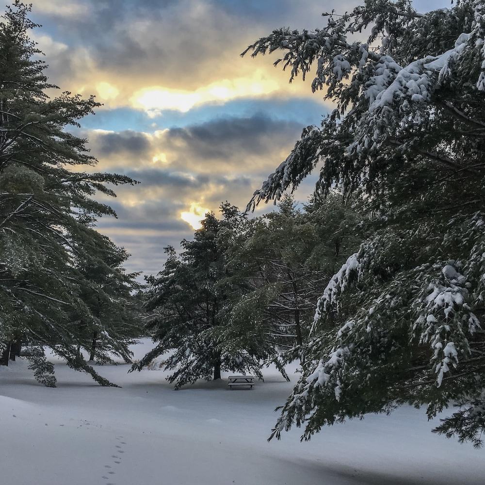 Silver Spruce Resort photo 10