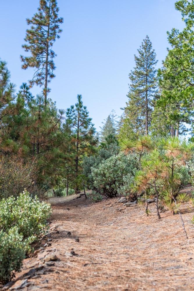 Inn at Sugar Pine Ranch photo 21