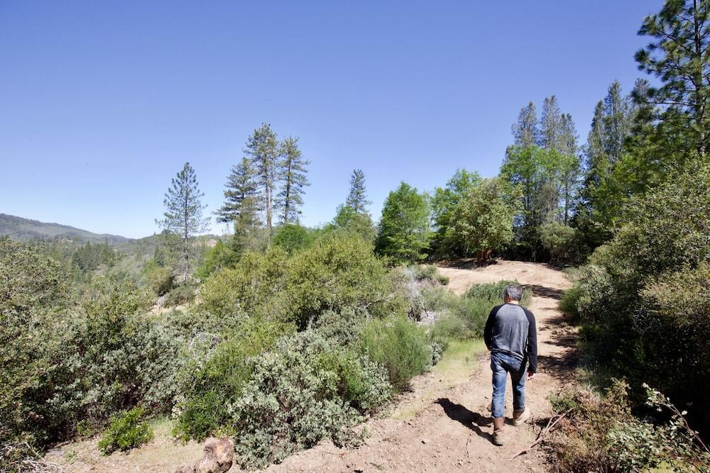 Mandala Springs Wellness Retreat Center photo 99