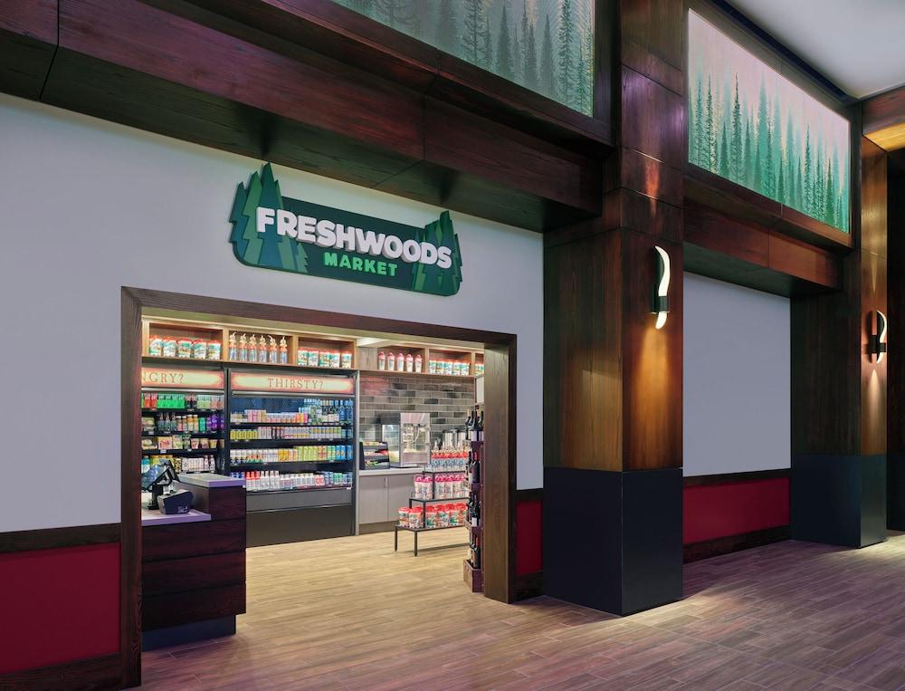 Great Wolf Lodge Mashantucket photo 49