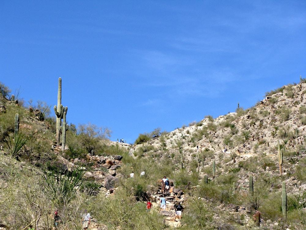 Hilton Phoenix Tapatio Cliffs Resort photo 91