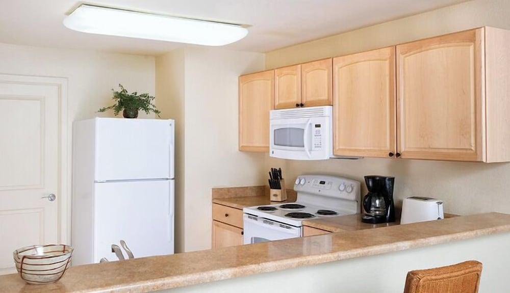 Tropicana Condos photo 10