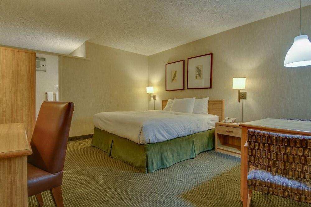 Vagabond Inn Los Angeles at USC photo 15