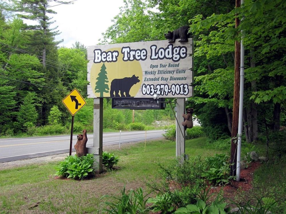 Bear Tree Lodge photo 11