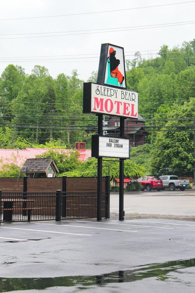 Sleepy Bear Motel photo 14