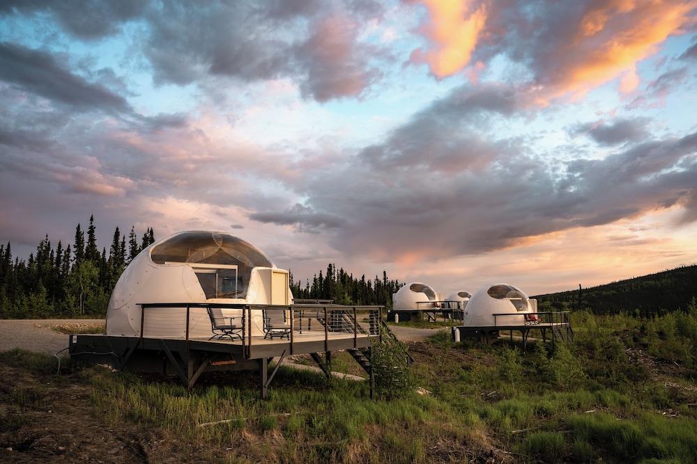 Borealis Basecamp photo 4