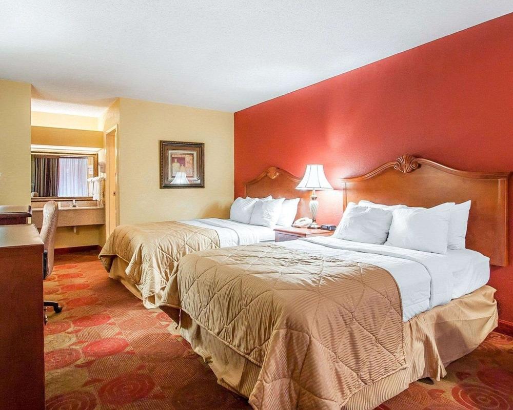 Clarion Inn & Suites University Center photo 13