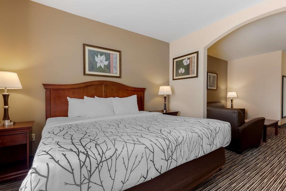 Best Western Plus Sweetwater Inn & Suites photo 3